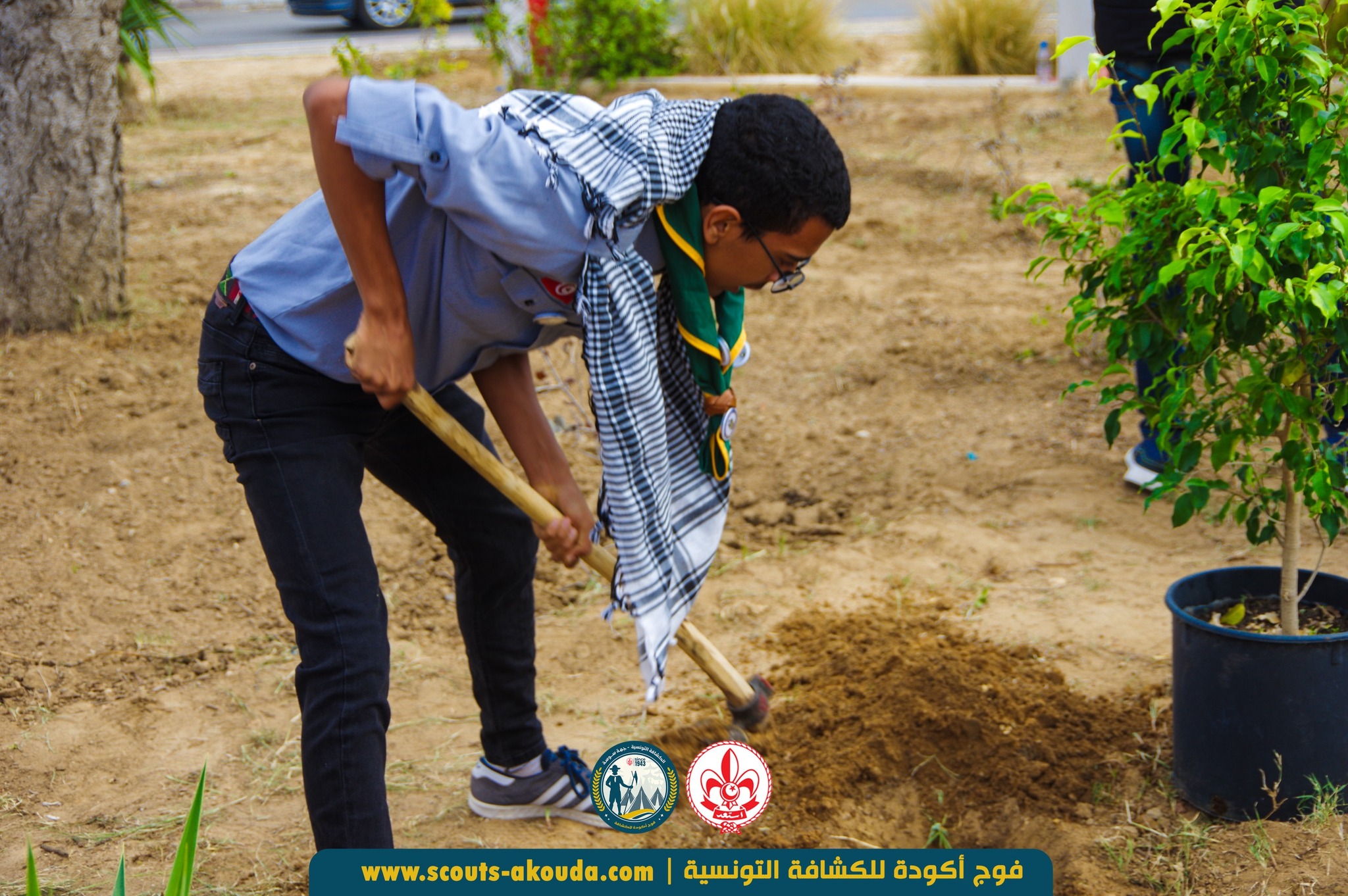 غرس للأمل ونبض للحياة: فوج أكودة للكشافة التونسية يحتفلو بعيد الشجرة بروح المسؤولية